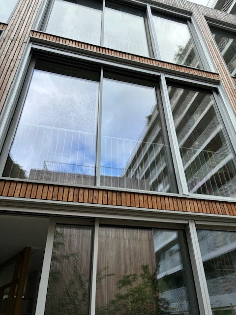 Nettoyage de Vitres, Baies vitrées, Vérandas et Verrières 5